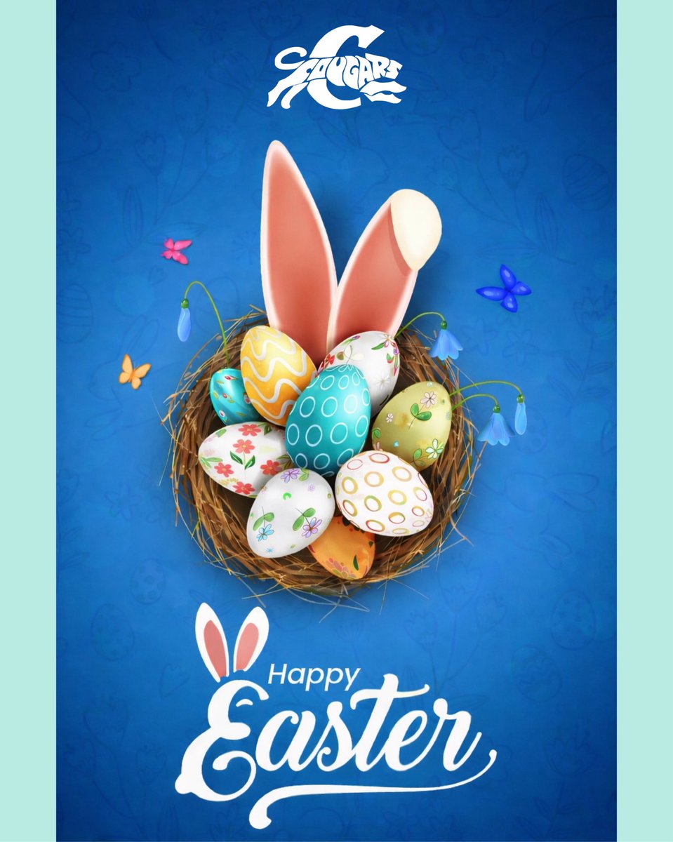 Capital Baseball tweet media