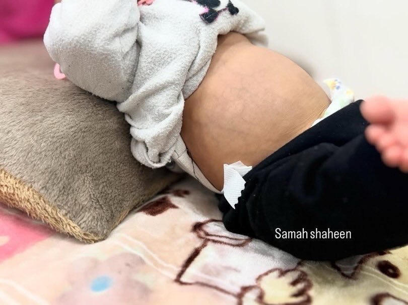 Eye on Palestine tweet media