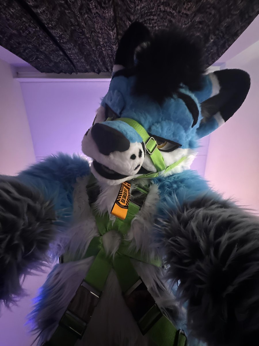 Darker shades of blue🔞🦊🩵🔜FZ🇮🇹 tweet media