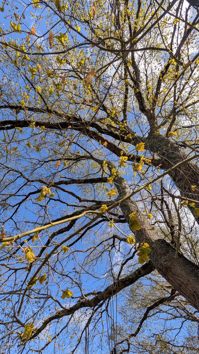 Cat 🧡 🐿 📸 tweet media