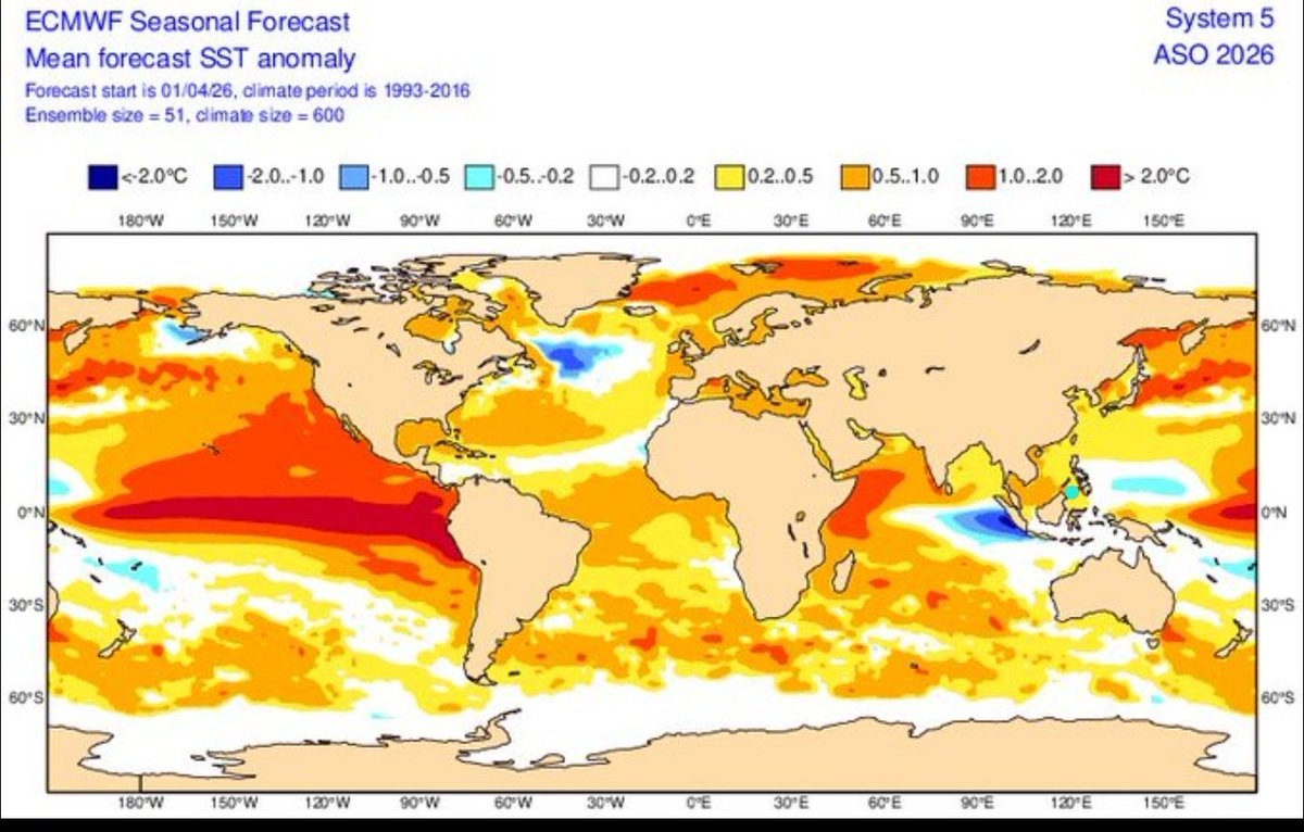 Hurricane Man tweet media