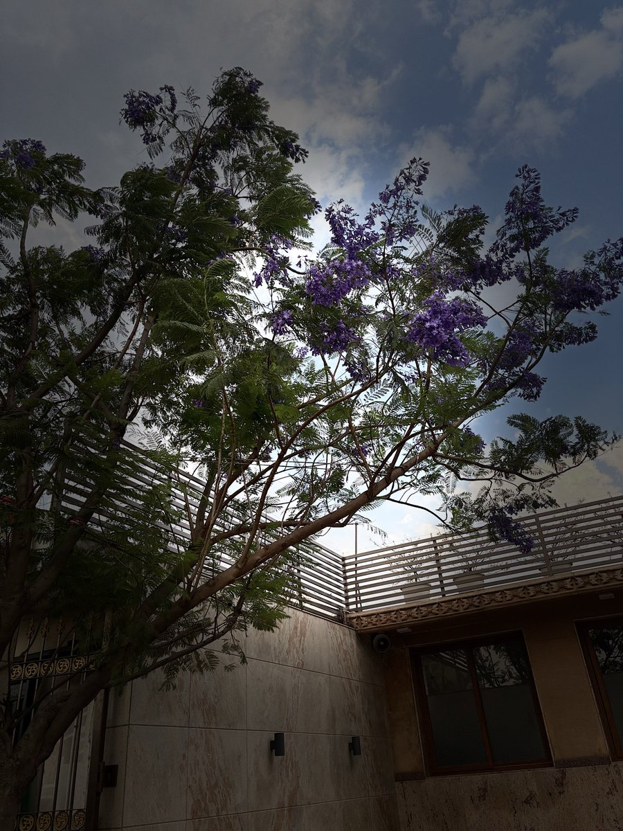 Sonal Sharma tweet media