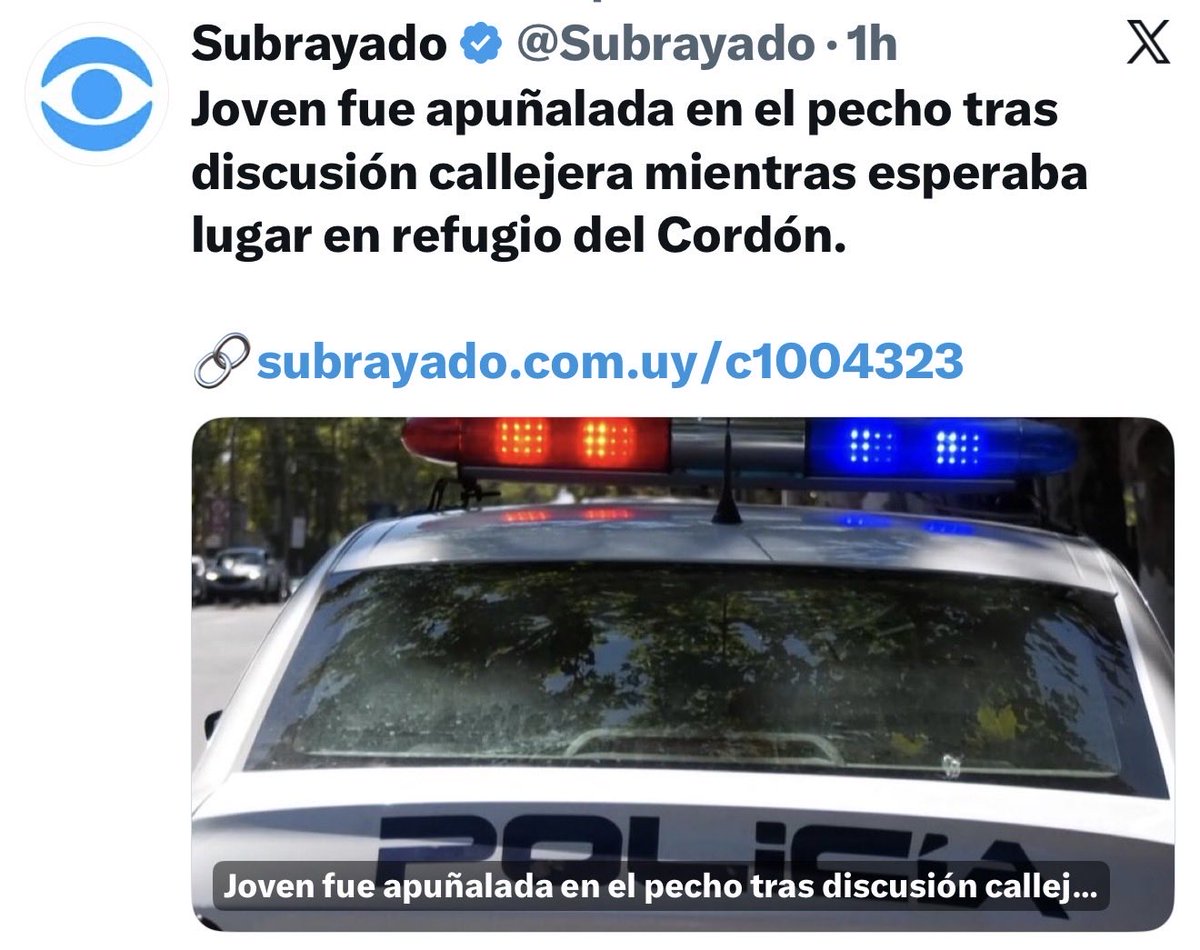 El Bagual bolso tweet media