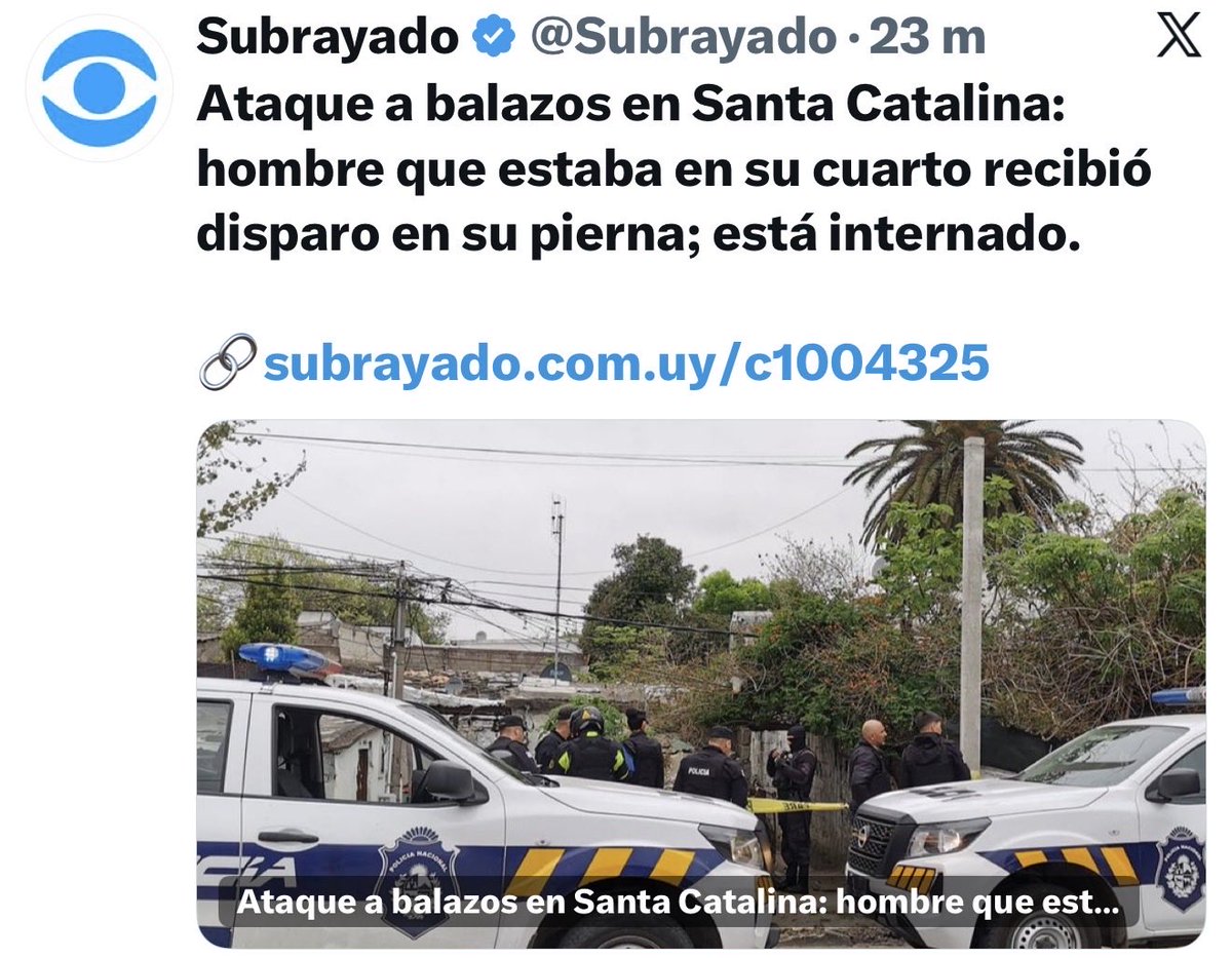 El Bagual bolso tweet media