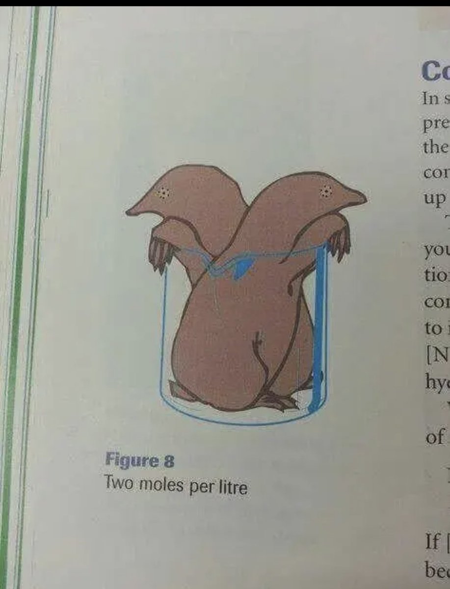 Tater Magoo-ish tweet media