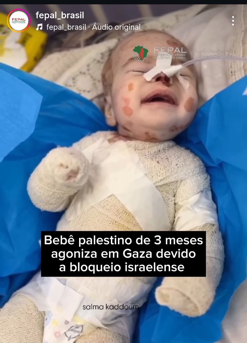 Reani Flavia Becker tweet media