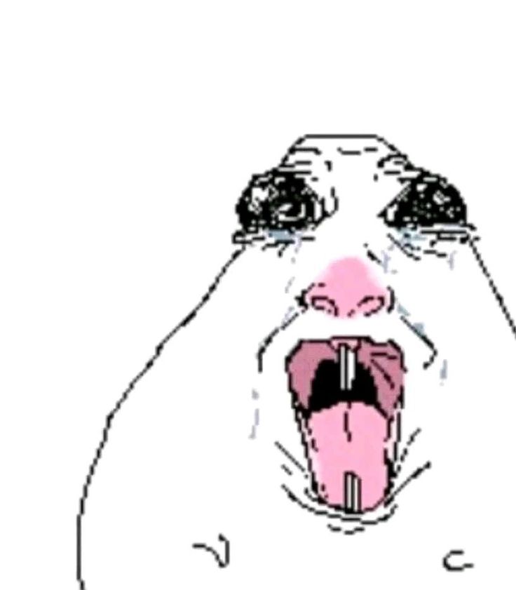 MTRT 클론 tweet media