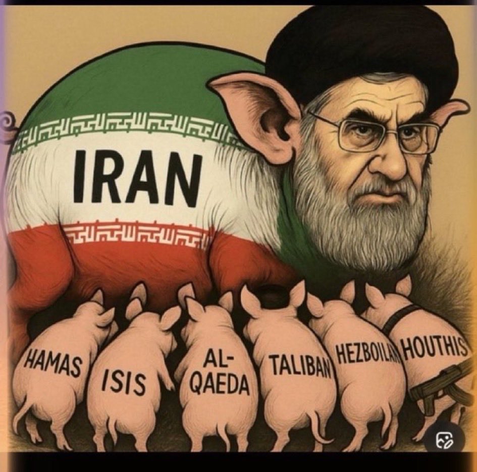 Rhino80 🦅🇺🇸 tweet media