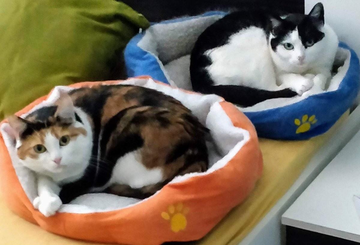 EinfachIch tweet media