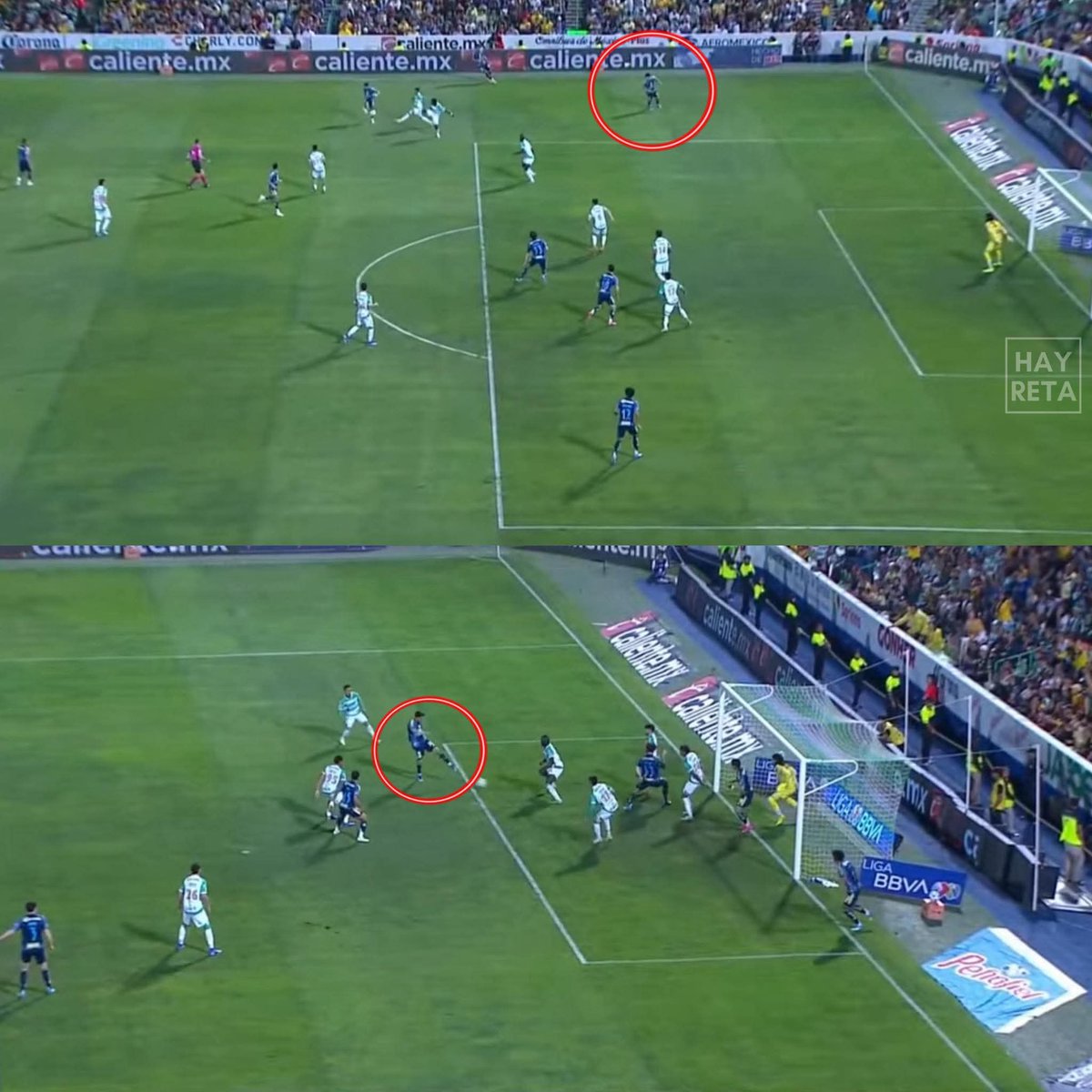 San Yorch tweet media