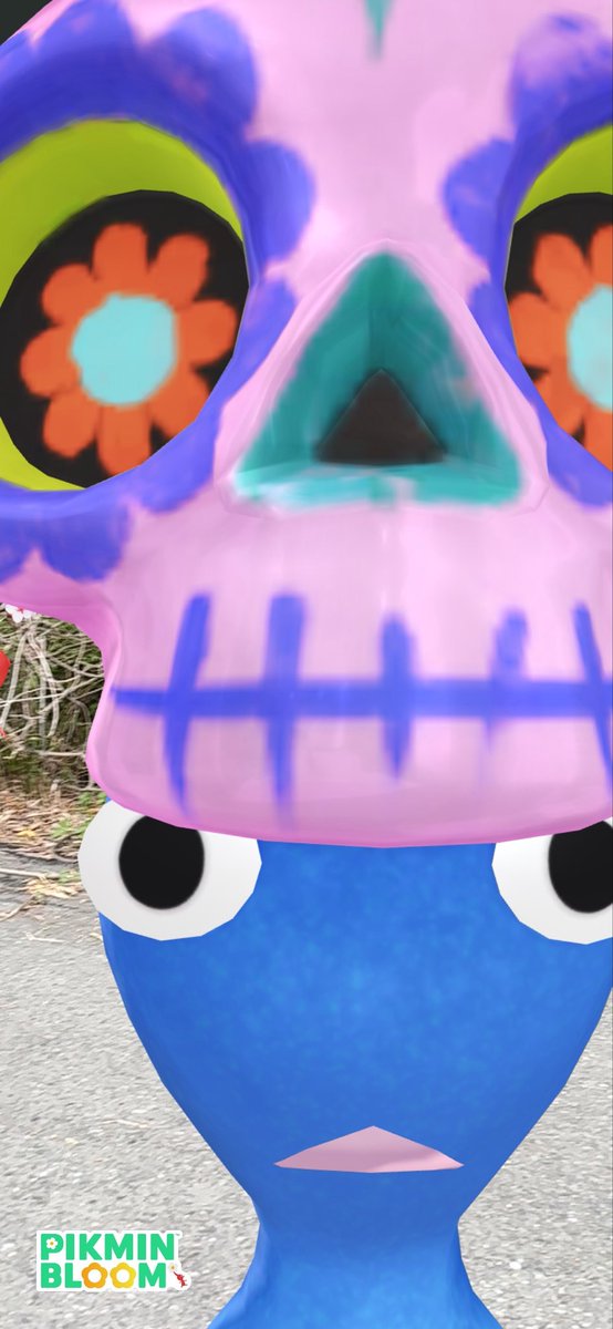 ぴかじゅんこ🍀（光夏純子） tweet media