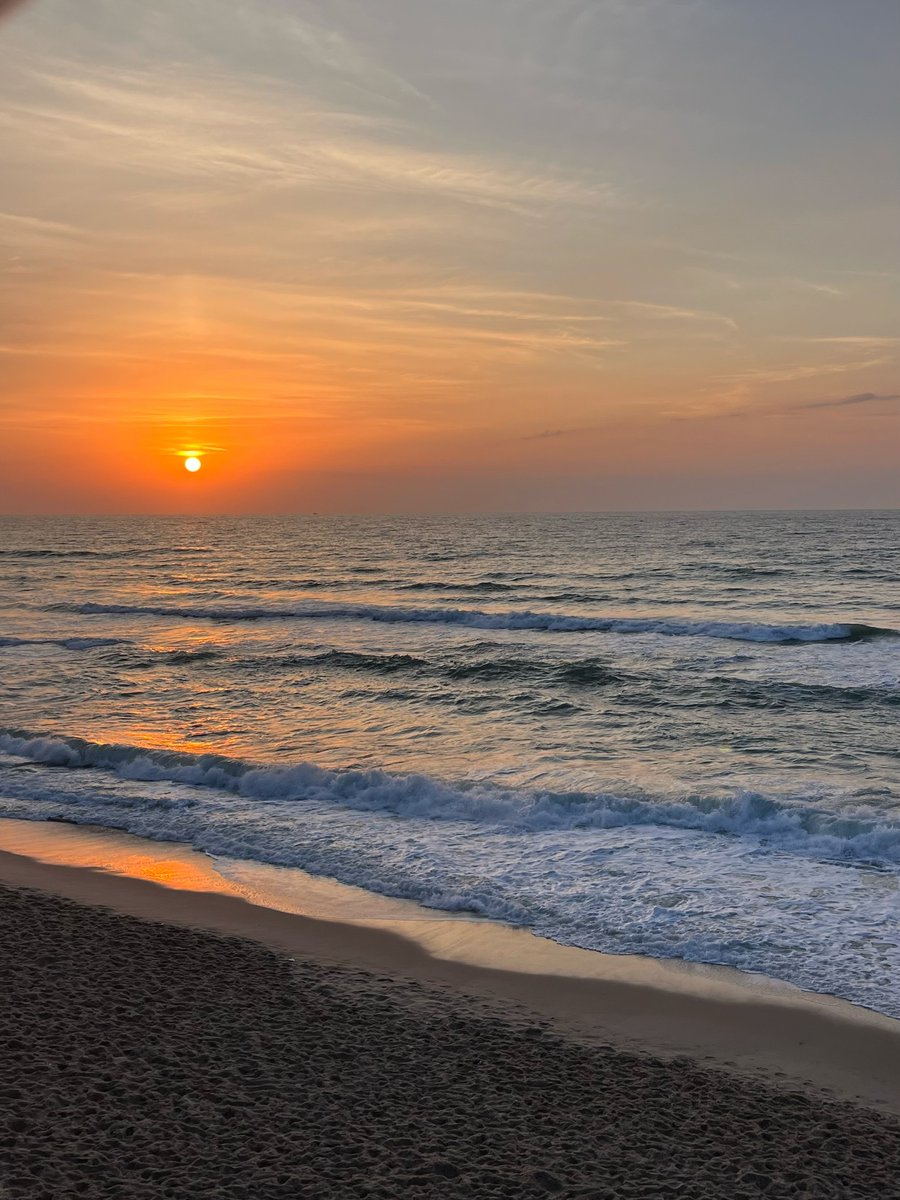 Mahmoud Massri | مَحْمُود 🇵🇸 tweet media