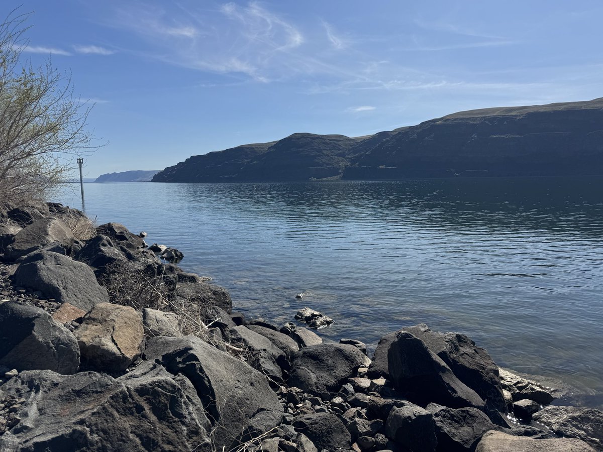 Robert Raskolnikov tweet media