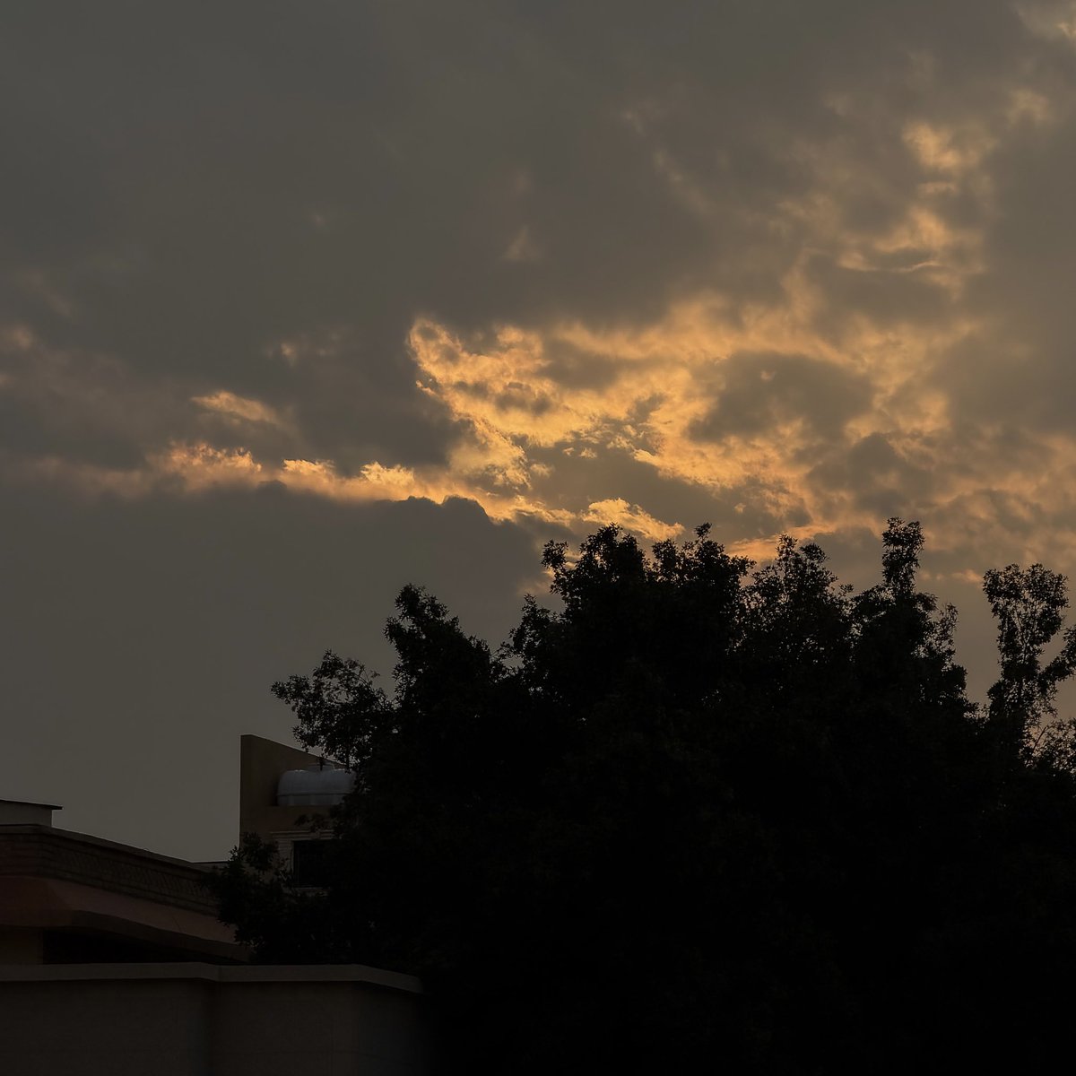 طلال ☕️ tweet media