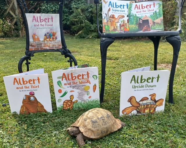 AlbertTortoise's tweet image. Six appeal. Real #ALBERTthetortoise poses with six of the #books he's #inspired. #AvailableNow 9 #ALBERT #picturebooks, 3 #BoardBooks &amp;amp; #ActivityBook Alberttortoise.com
#tortoise #bookseries #garden #storytime #bookcover
