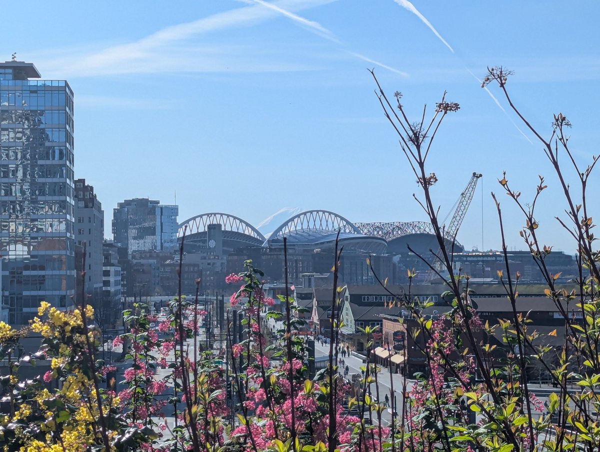 🍁Cardamon🍁 tweet media