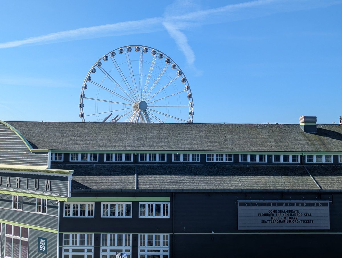 🍁Cardamon🍁 tweet media