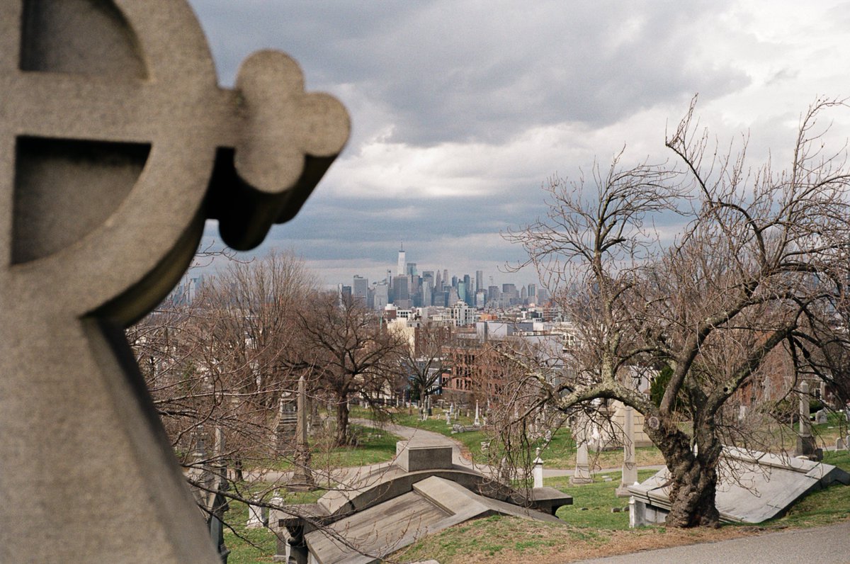 actually it’s good tweet media