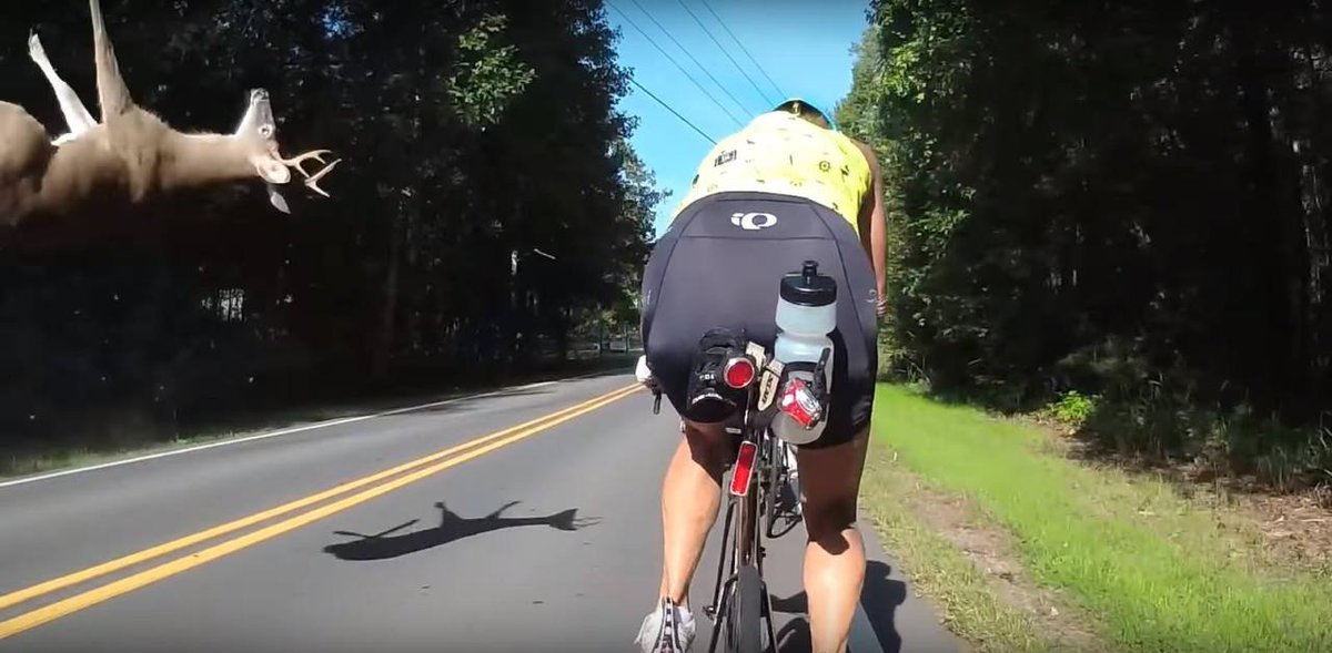 hmmm.jpg tweet media