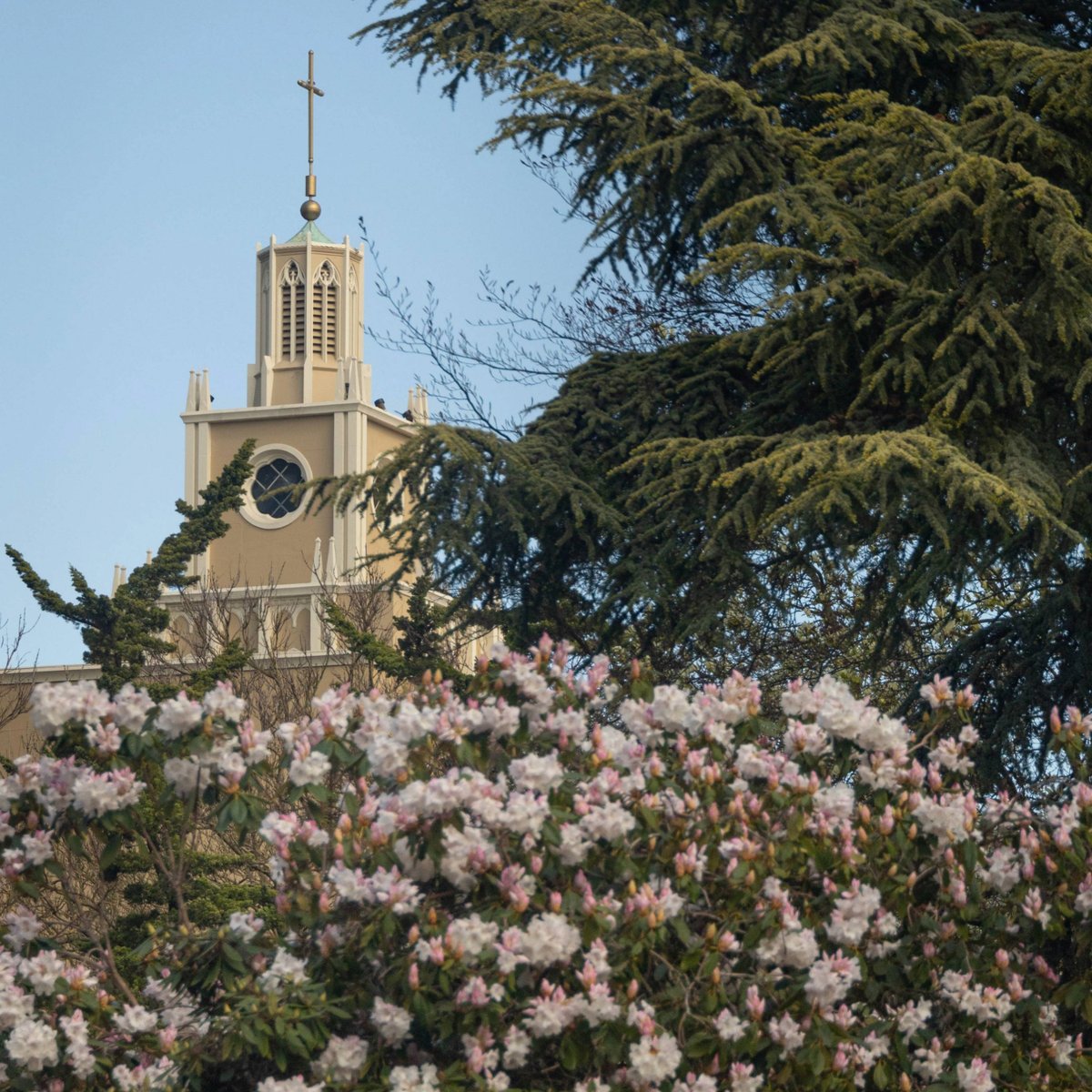 Seattle University tweet media