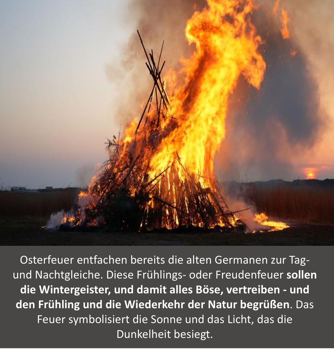 Dorothee Haering tweet media