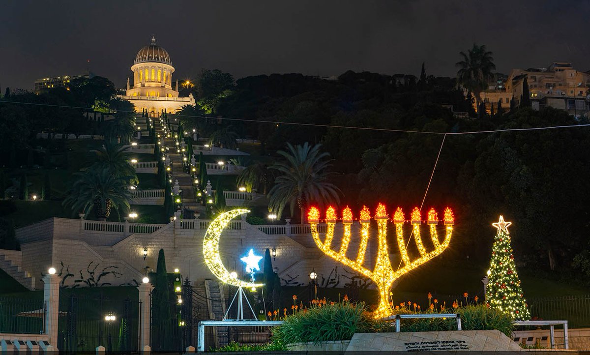 Dr. Reda Mansour tweet media