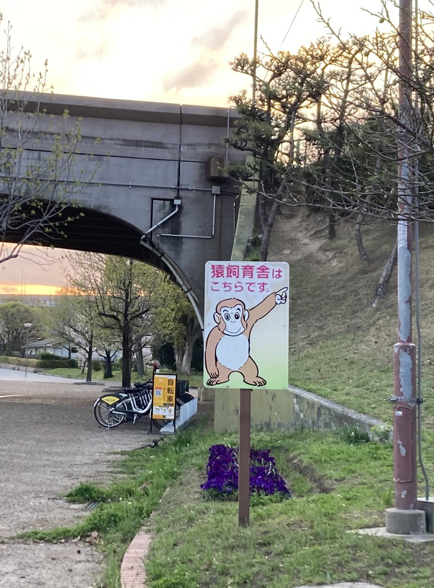 いっしゃん! tweet media