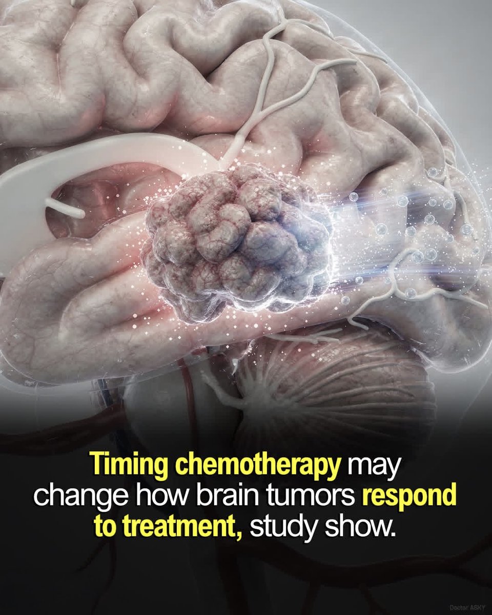 SciTech Girl tweet media