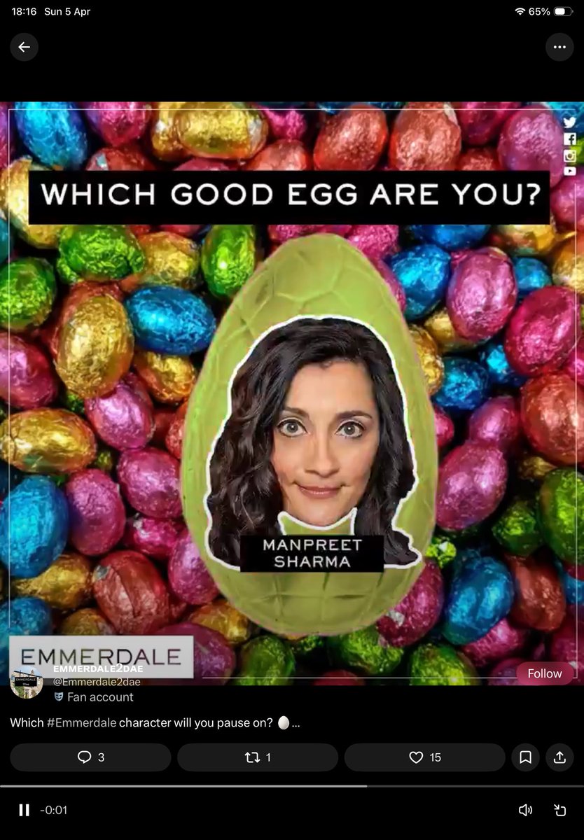 Tigs🐯🐯🔥☀️ tweet media