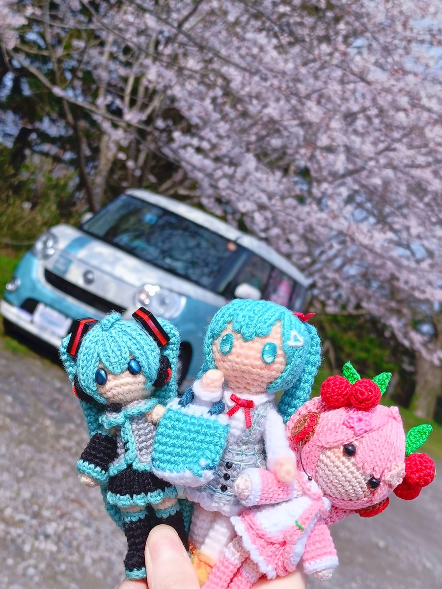 シオン🍎 tweet media