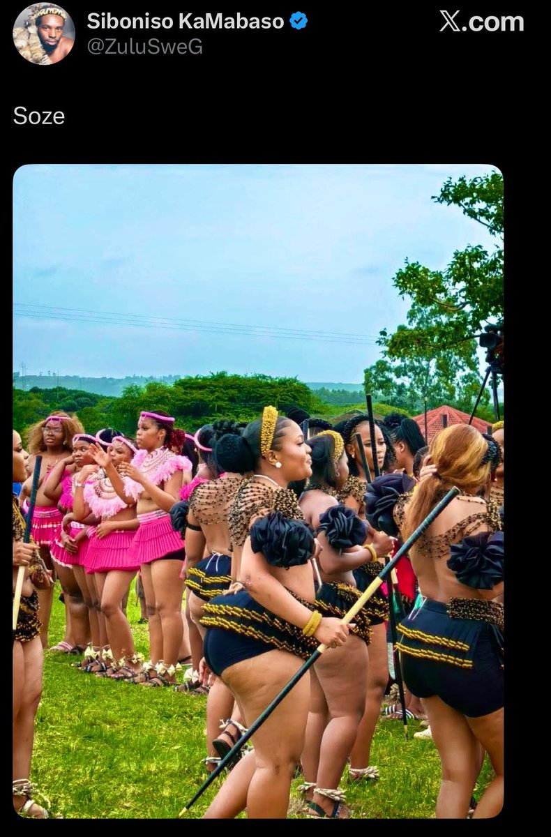 Miss Ziprusha tweet media