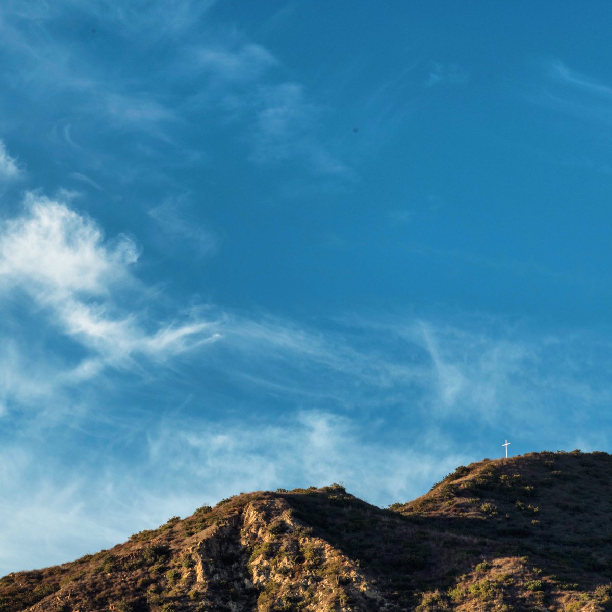 Pepperdine Waves tweet media
