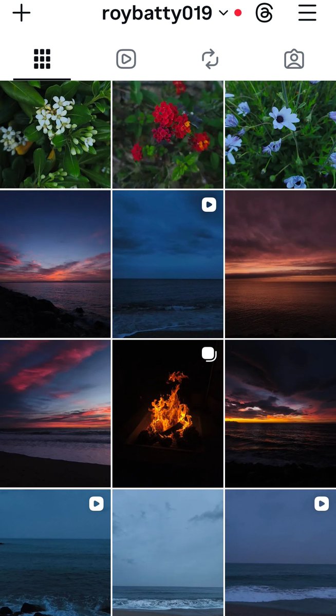 Jorge 🌋 tweet media