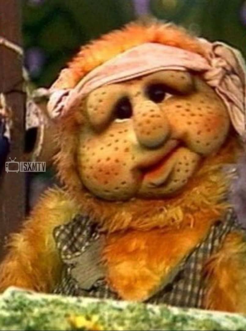 گلدون شمعدونی tweet media