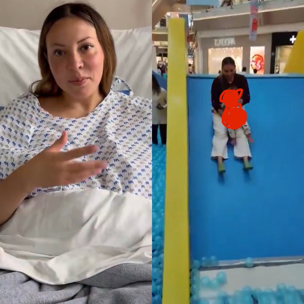 Cerebros tweet media