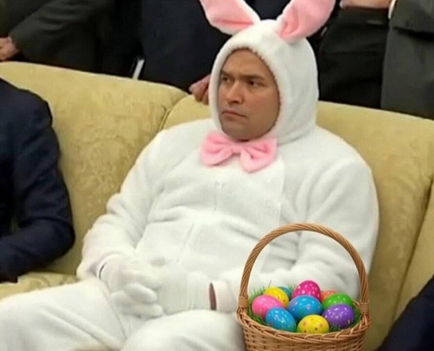 SafetySwipe tweet media