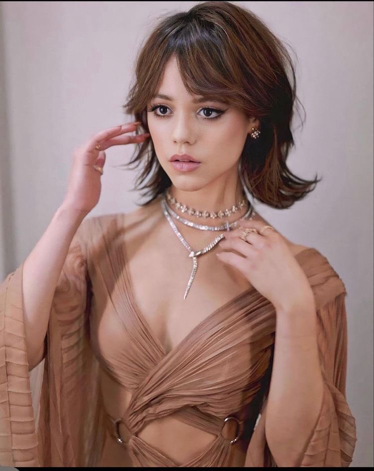 فيرميني tweet media