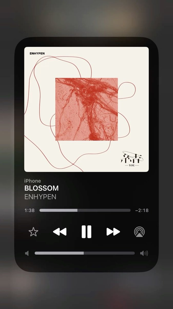 𝙽𝚘𝚡 ✧ 𝙴𝙽𝙷𝚈𝙿𝙴𝙽 𝙸𝚂 𝟽 ✧ tweet media