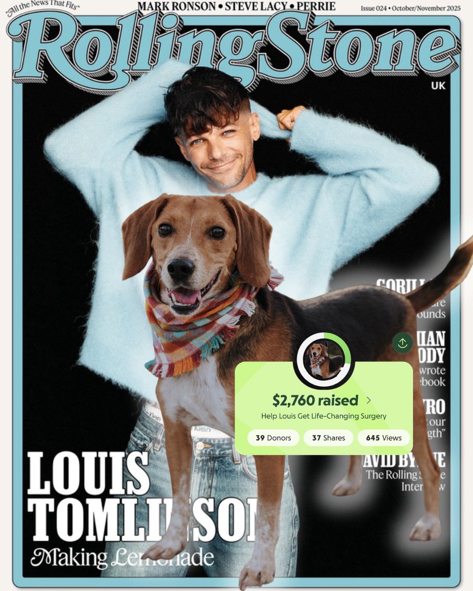 I adopted Louis in Sep 2025. He is named after my fav <a href="/Louis_Tomlinson/">Louis Tomlinson</a> 🫶

Louis needs orthopedic surgery.

As a teacher with a single income, these expenses are overwhelming. Your support will help Louis get the surgery he needs to live a full life. 

gofund.me/c8a0f9b20