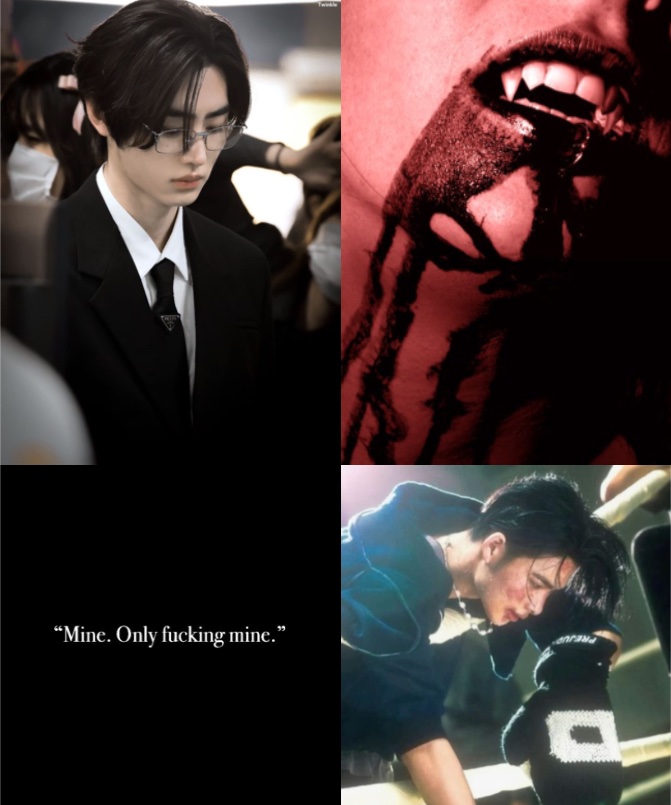 ʕ•ᴥ•ʔ tweet media