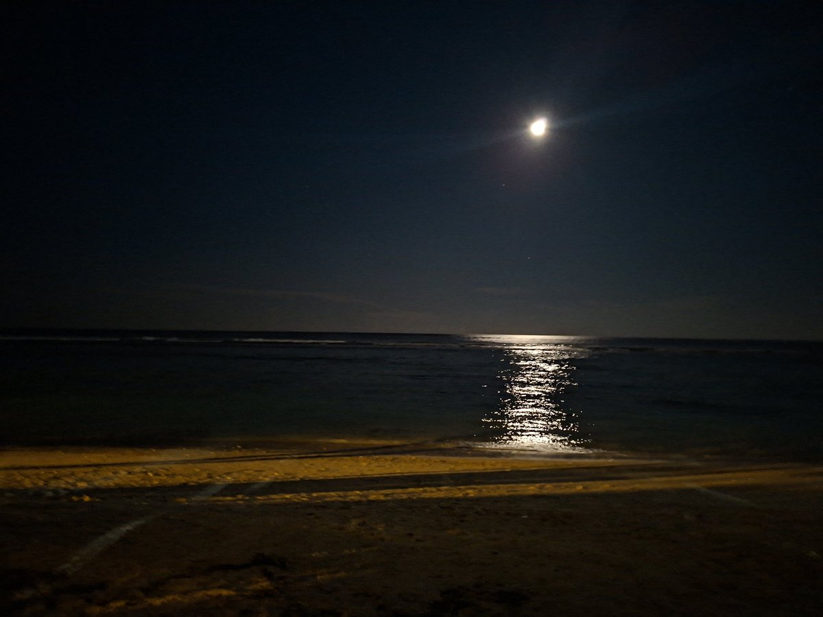 Royal ⚖️ Riley 🌟 tweet media