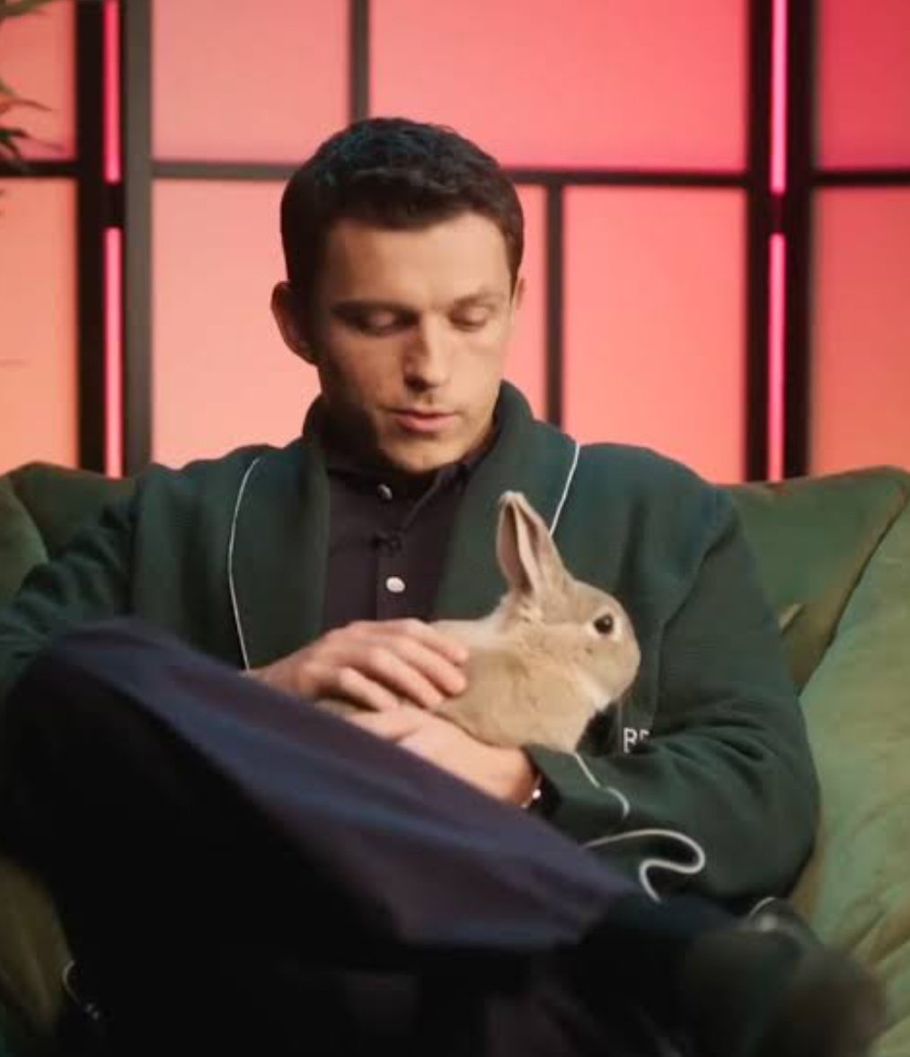 Tom Holland Updates tweet media