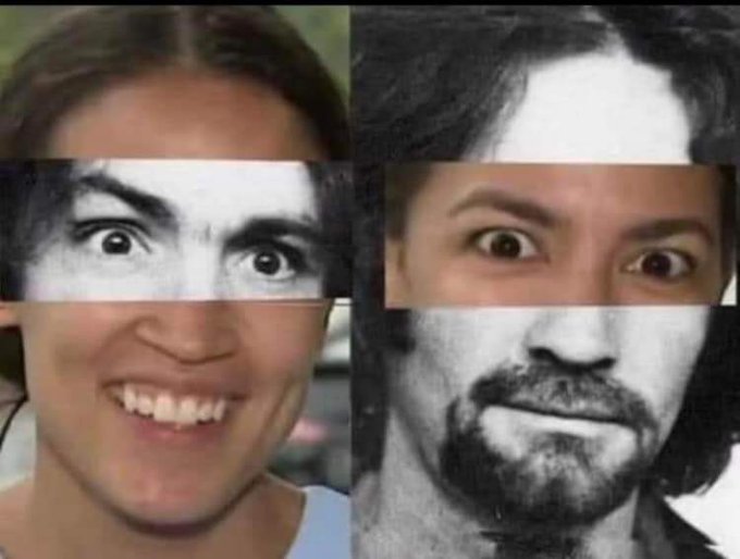 Vanilla Gorilla tweet media