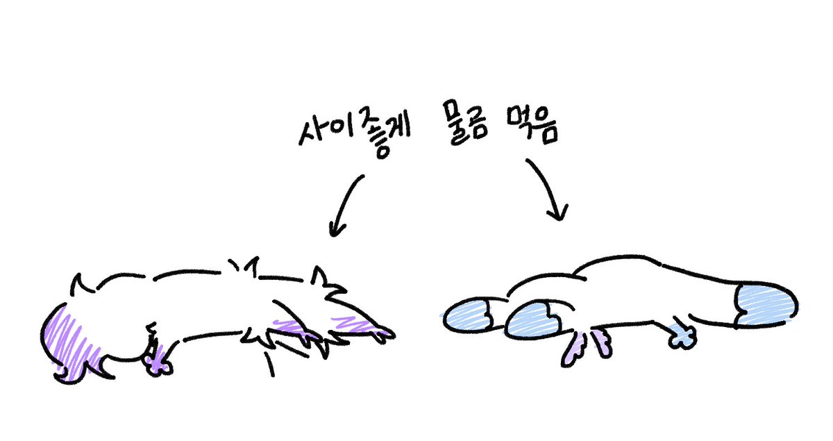 젖은쥐 tweet media