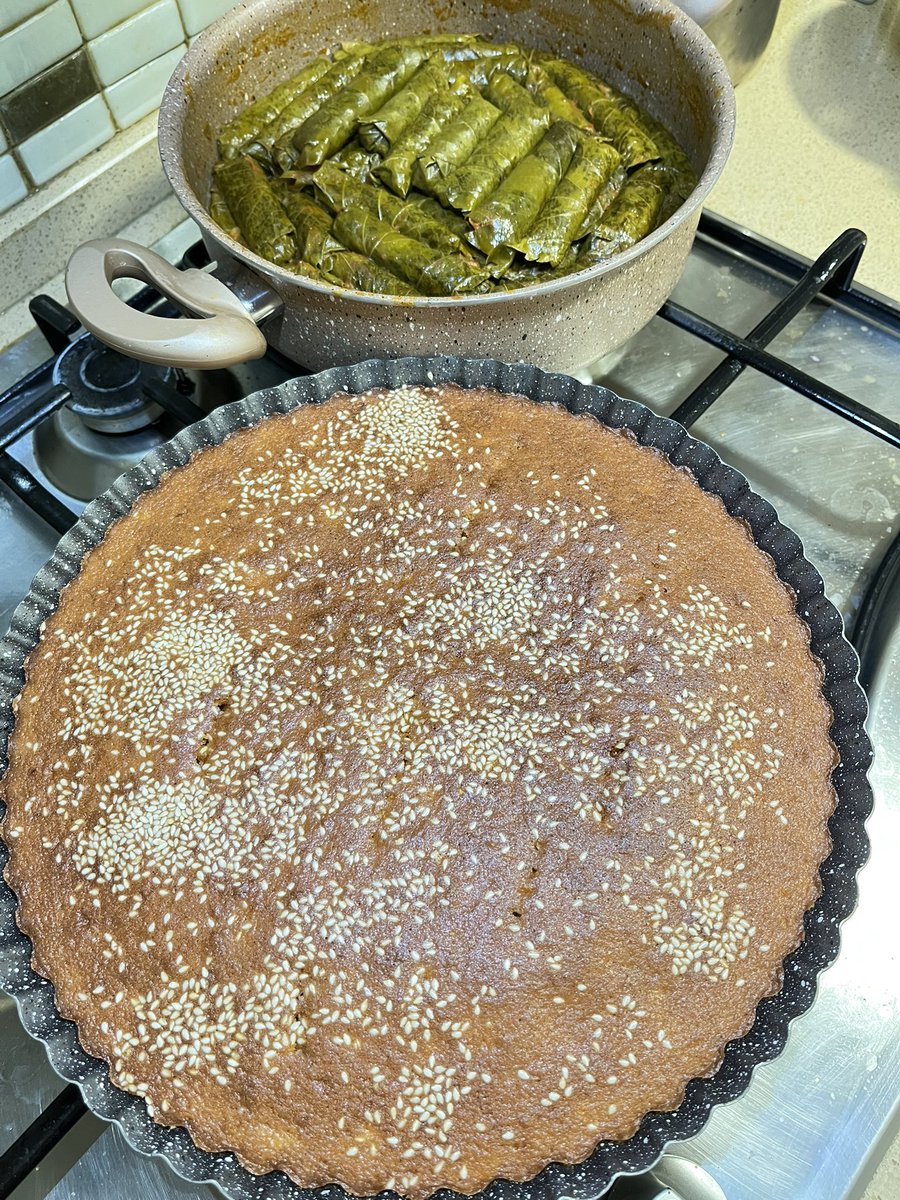 🐺🅰️ y @ ®️ s I💤 tweet media