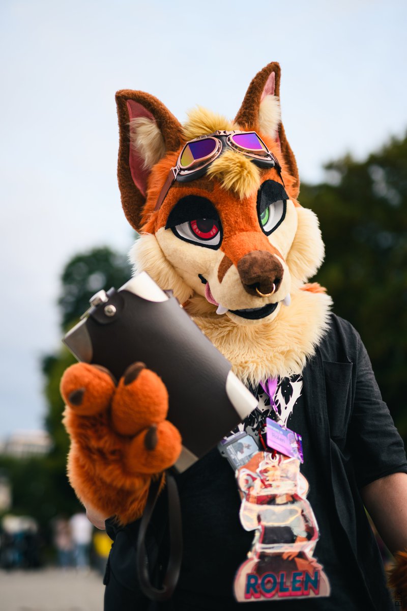 Rolen🦊 tweet media