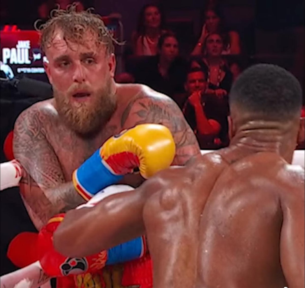 Fozon Capital tweet media