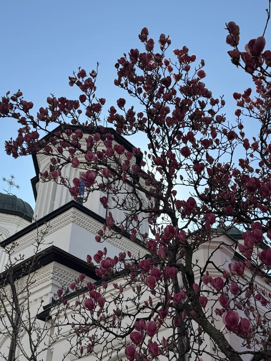 Maria07529704's tweet image. 