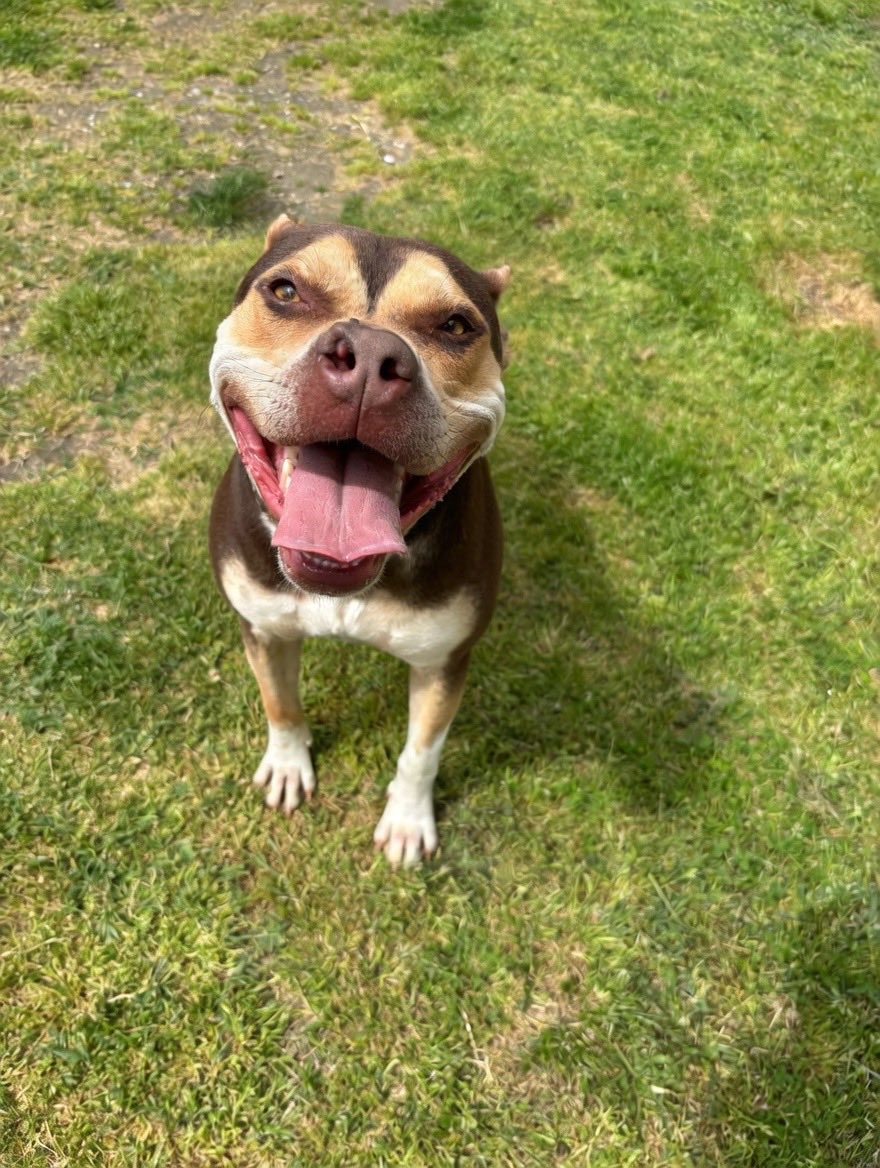 Spithas Filozoiko Somateio tweet media