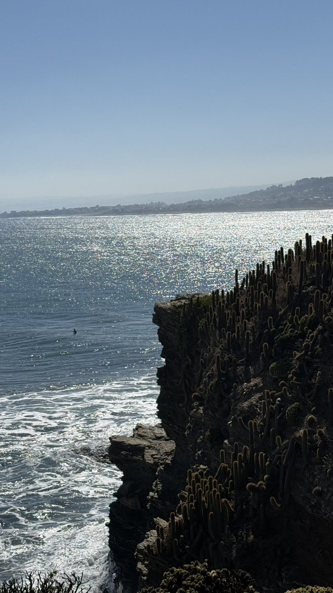 Sol ☀️ tweet media